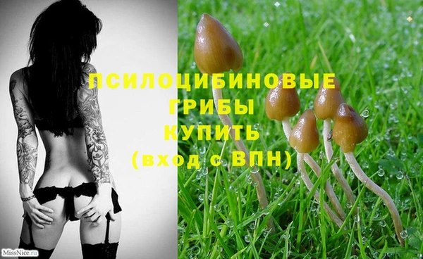 кокаин Верея